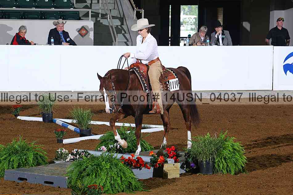 Proof 14usn_04037