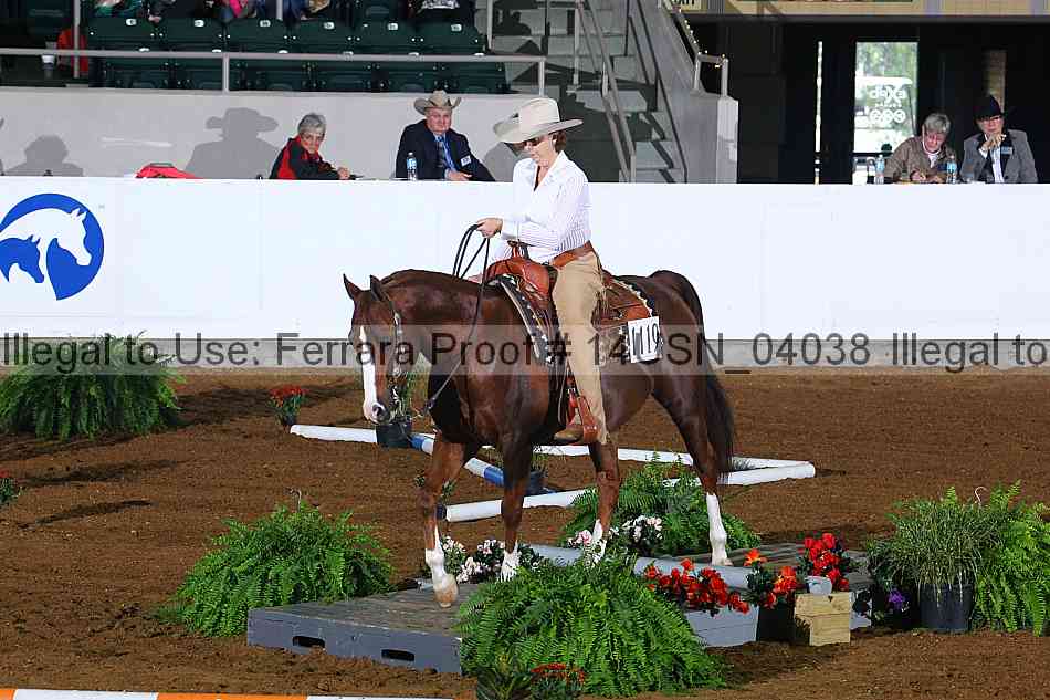 Proof 14usn_04038