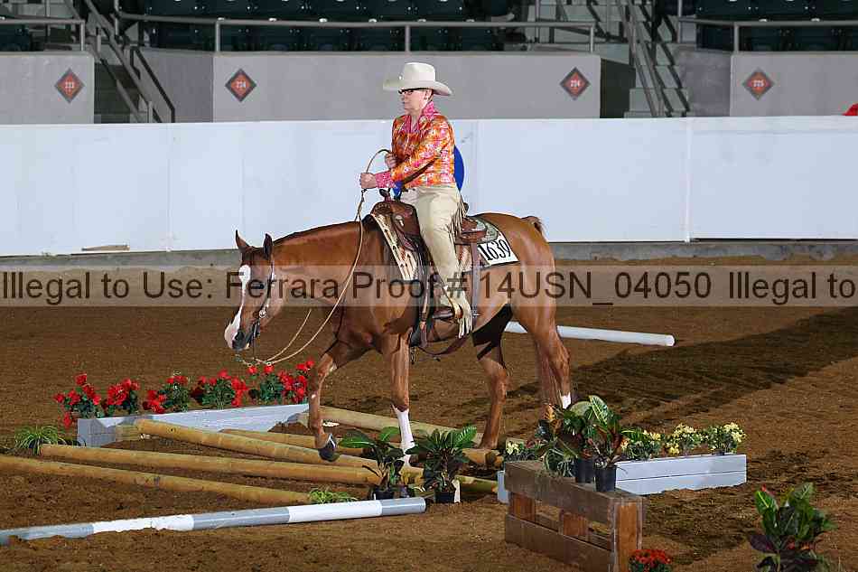 Proof 14usn_04050