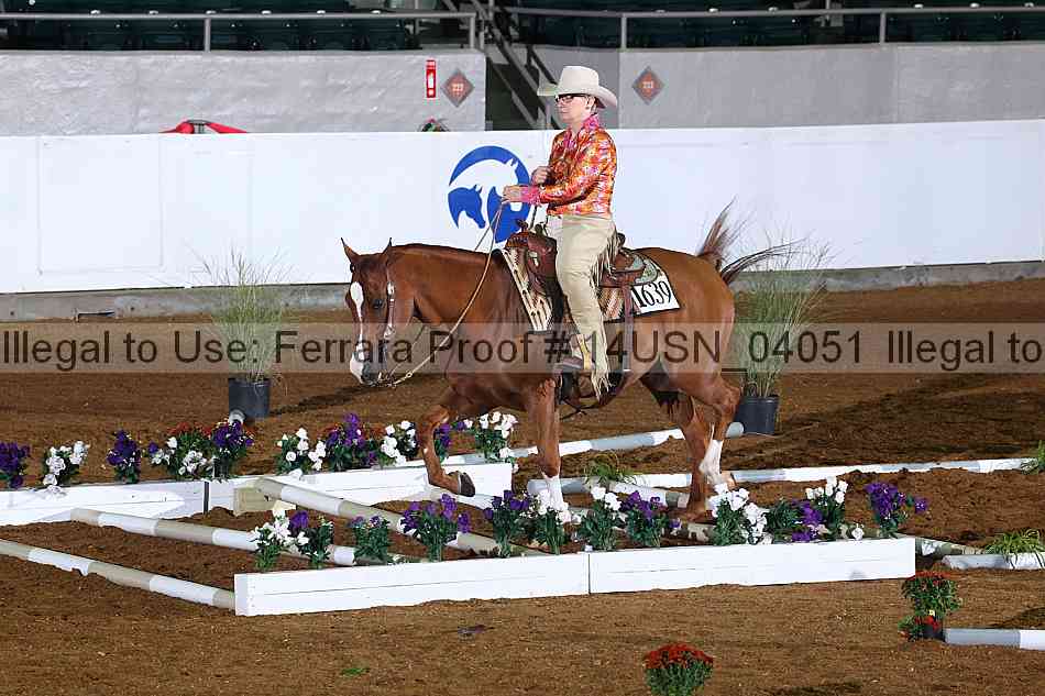 Proof 14usn_04051