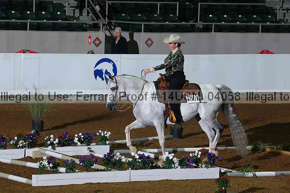 Proof 14usn_04058