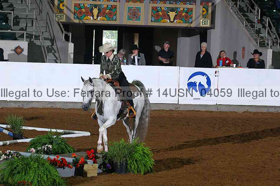 Proof 14usn_04059
