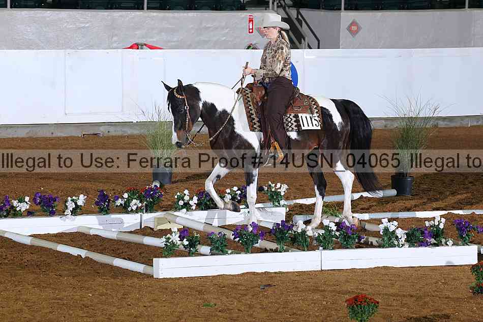 Proof 14usn_04065