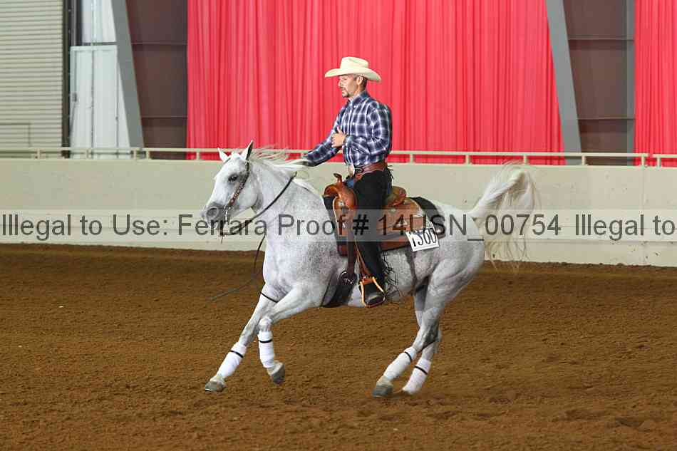 Proof 14usn_00754
