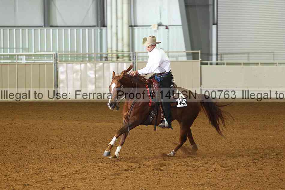 Proof 14usn_00763