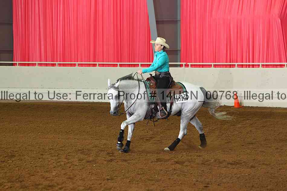 Proof 14usn_00768