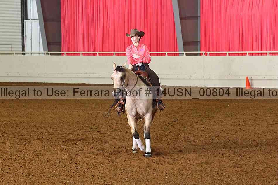 Proof 14usn_00804