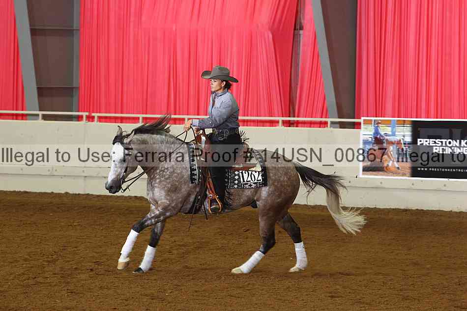 Proof 14usn_00867