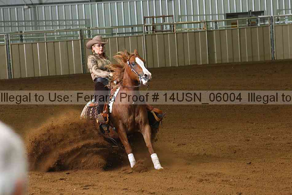 Proof 14usn_06004