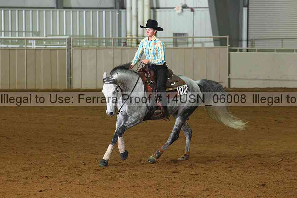 Proof 14usn_06008