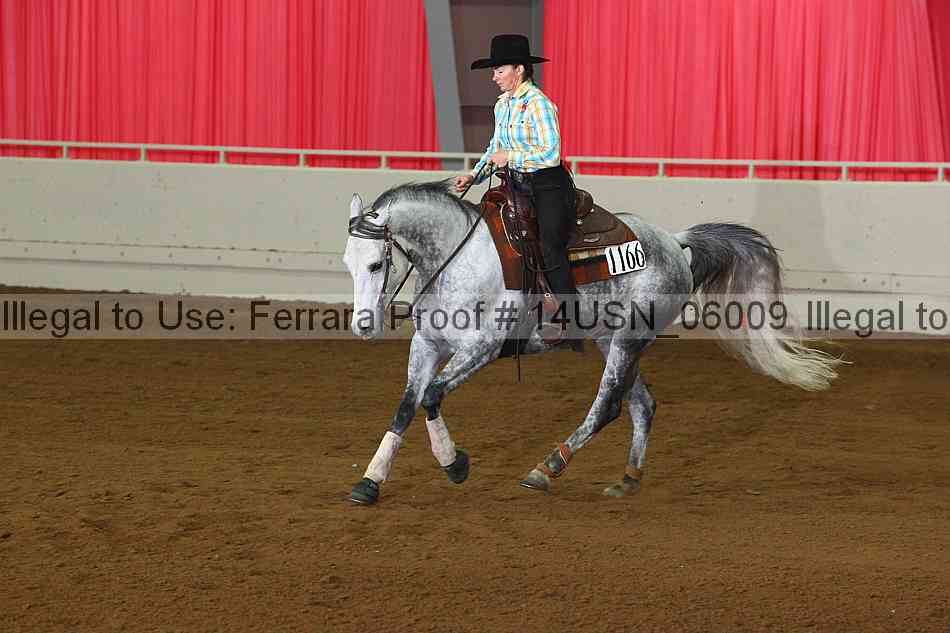 Proof 14usn_06009