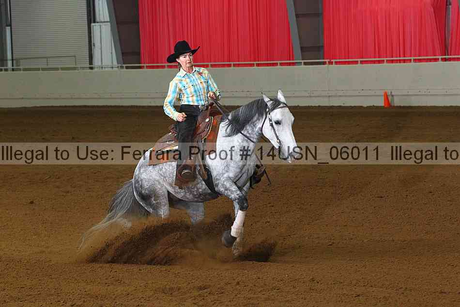 Proof 14usn_06011