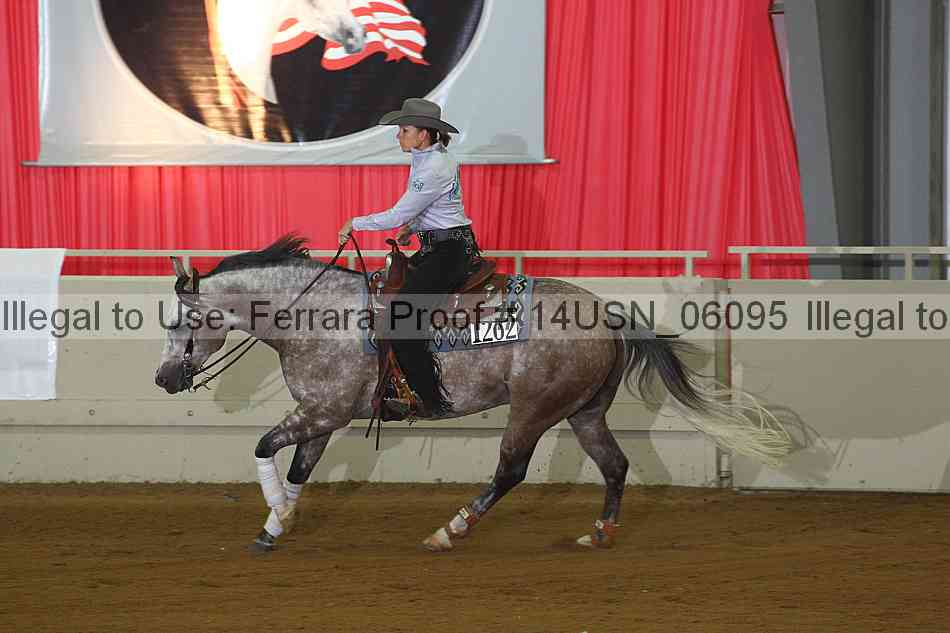 Proof 14usn_06095