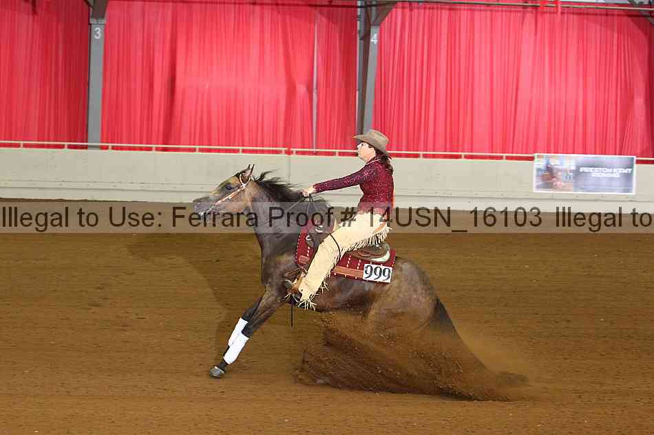 Proof 14usn_16103