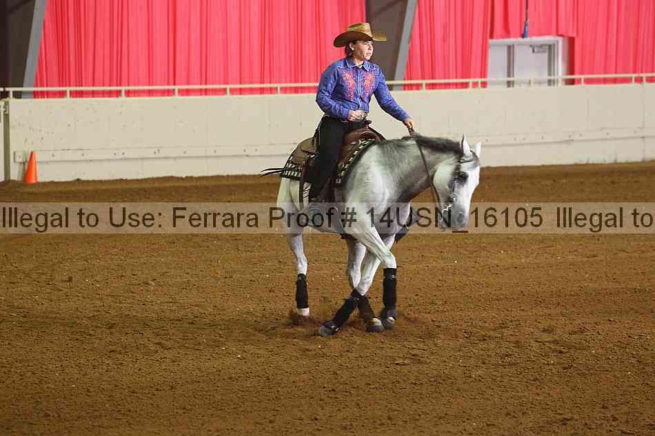 Proof 14usn_16105