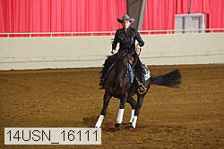 14usn_16111 proof