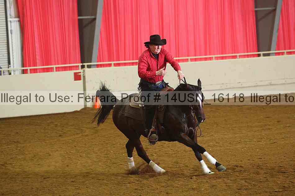 Proof 14usn_16118