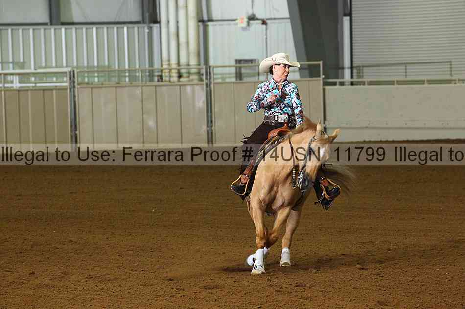 Proof 14usn_11799