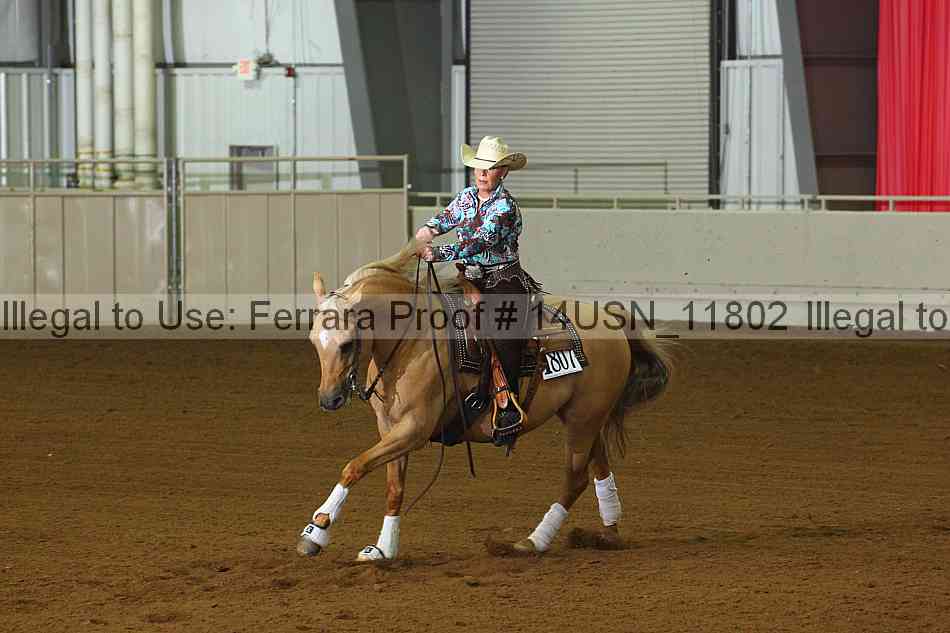 Proof 14usn_11802