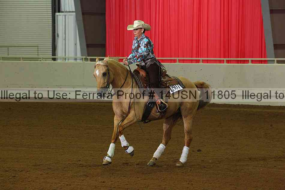 Proof 14usn_11805