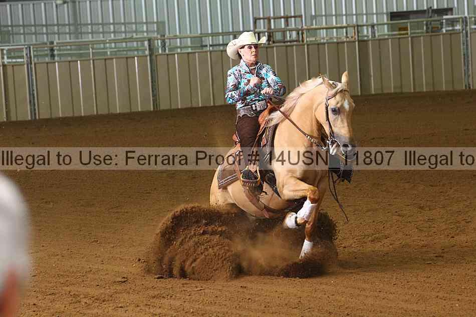 Proof 14usn_11807