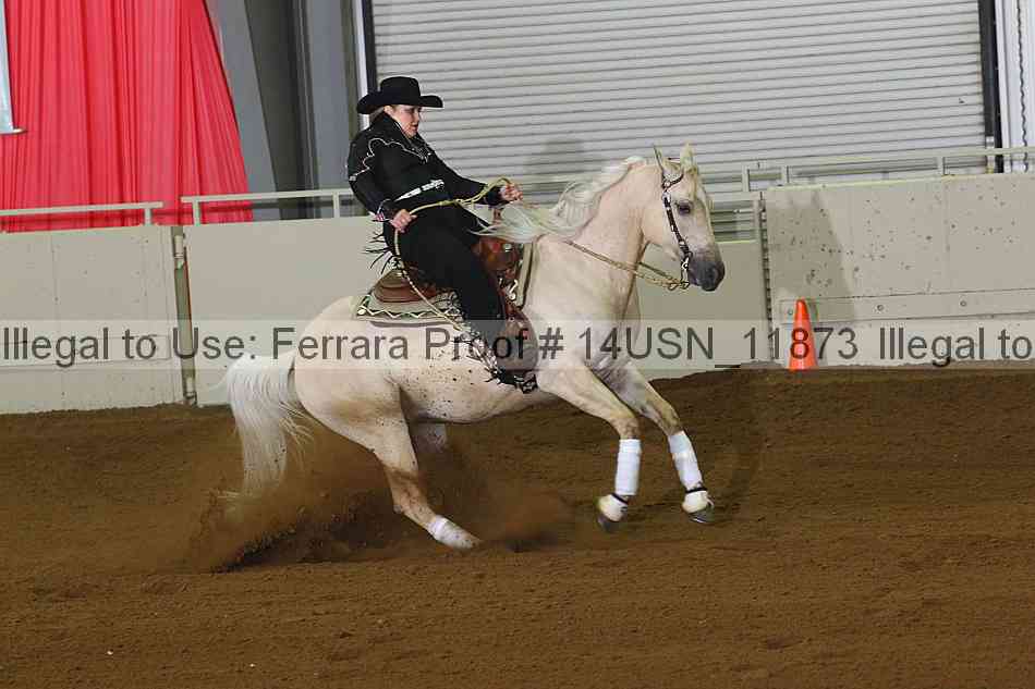 Proof 14usn_11873