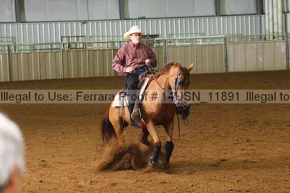Proof 14usn_11891