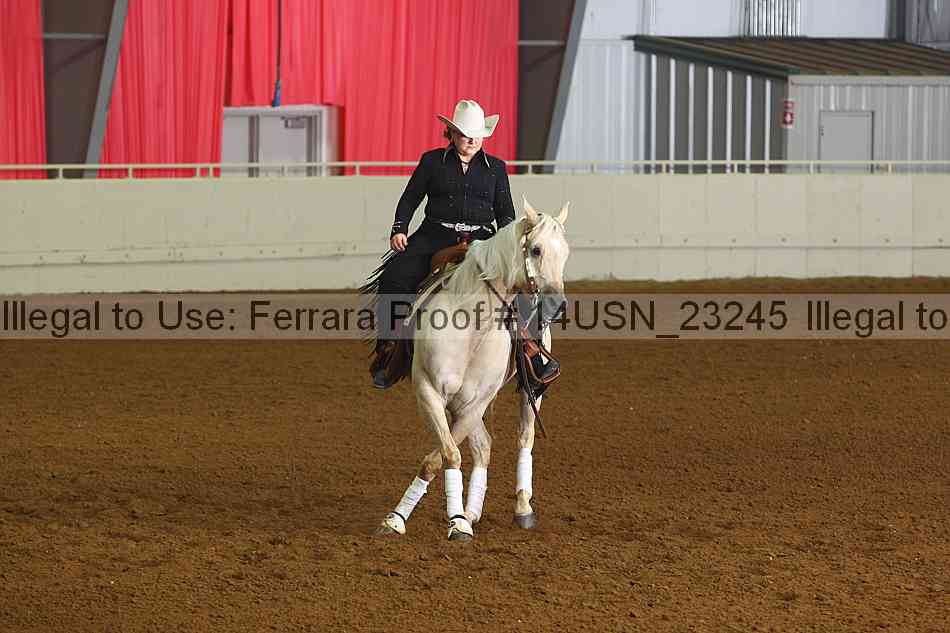 Proof 14usn_23245
