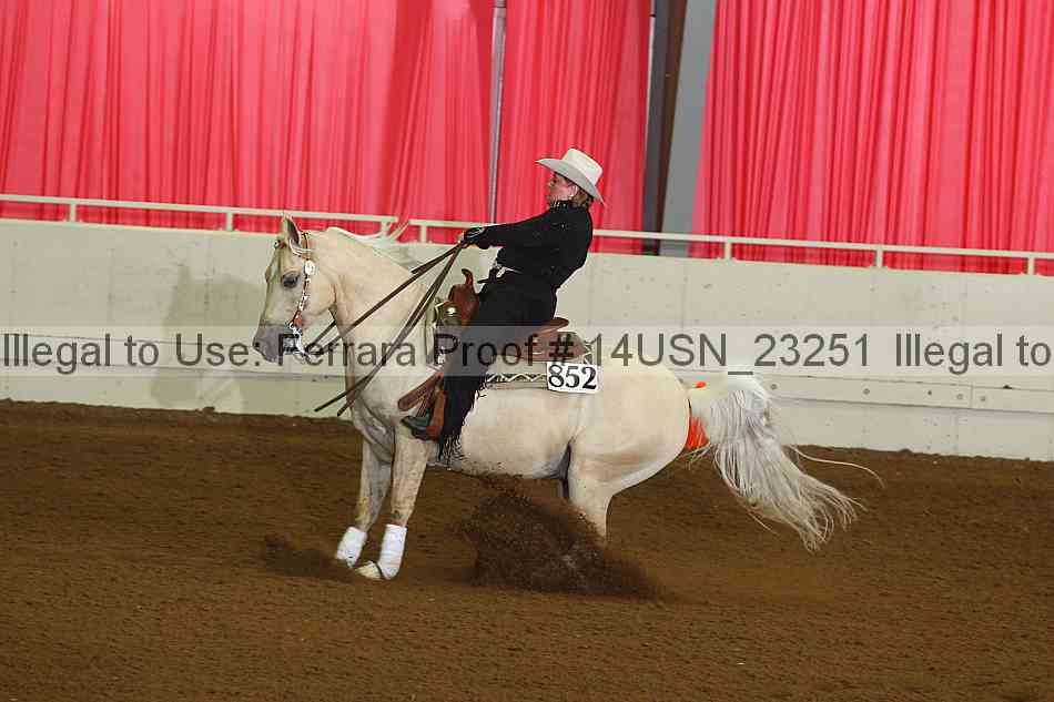 Proof 14usn_23251