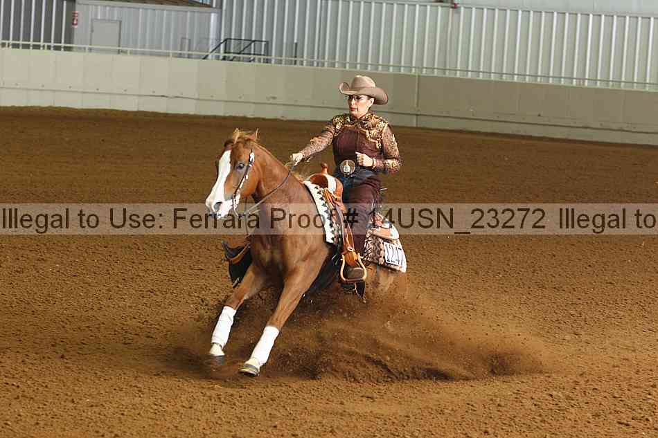 Proof 14usn_23272