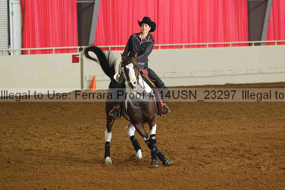 Proof 14usn_23297