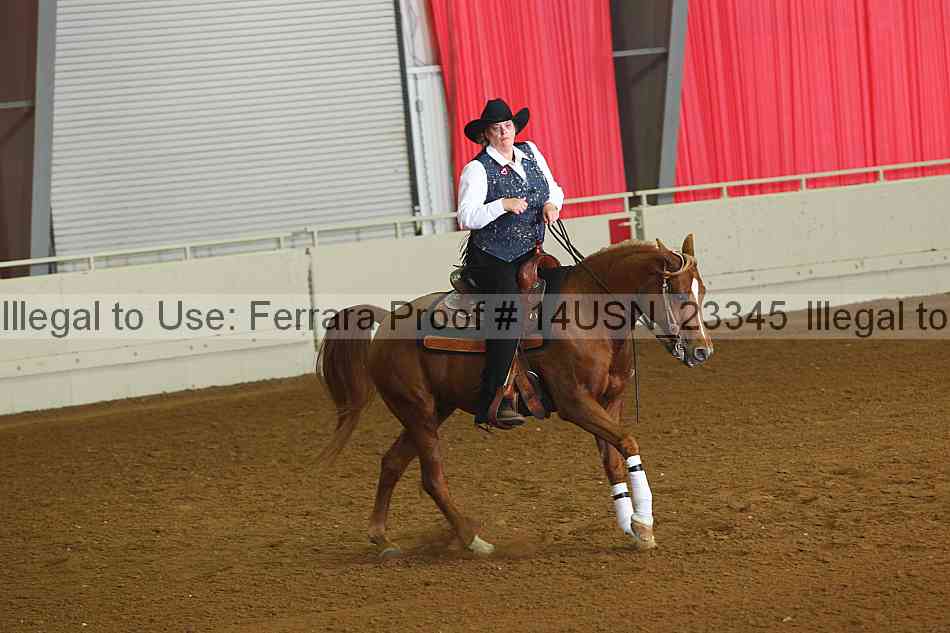 Proof 14usn_23345