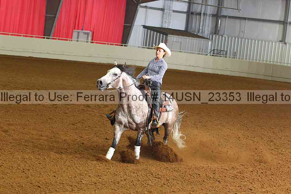 Proof 14usn_23353