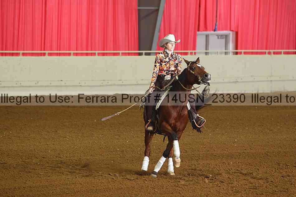 Proof 14usn_23390