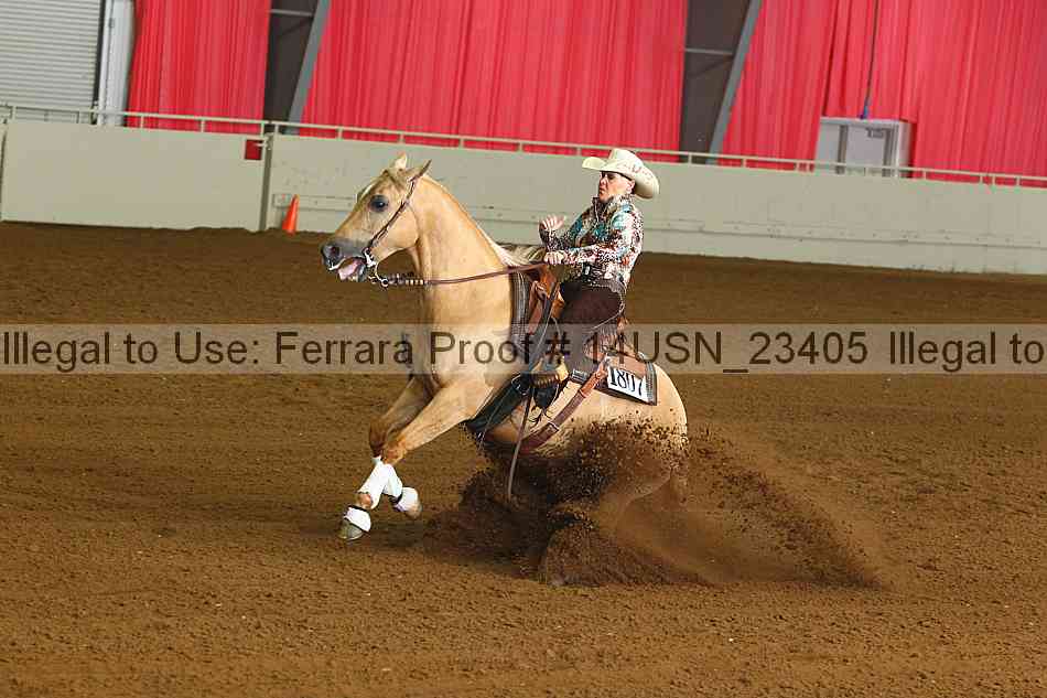 Proof 14usn_23405