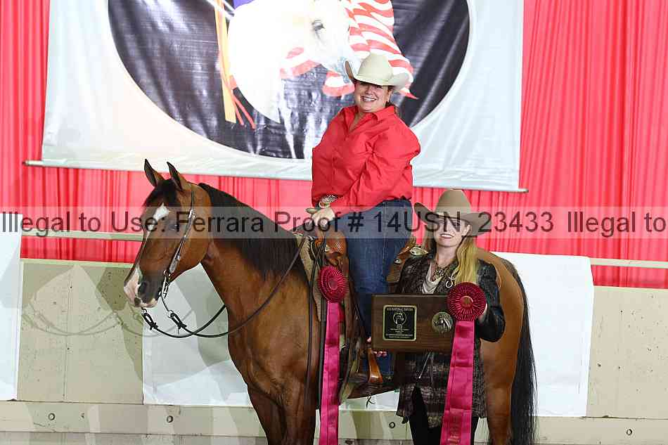 Proof 14usn_23433