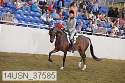 14usn_37585 proof