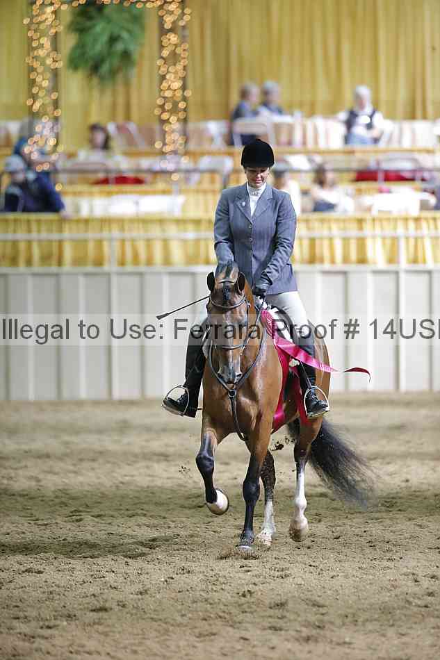 Proof 14usn_37615