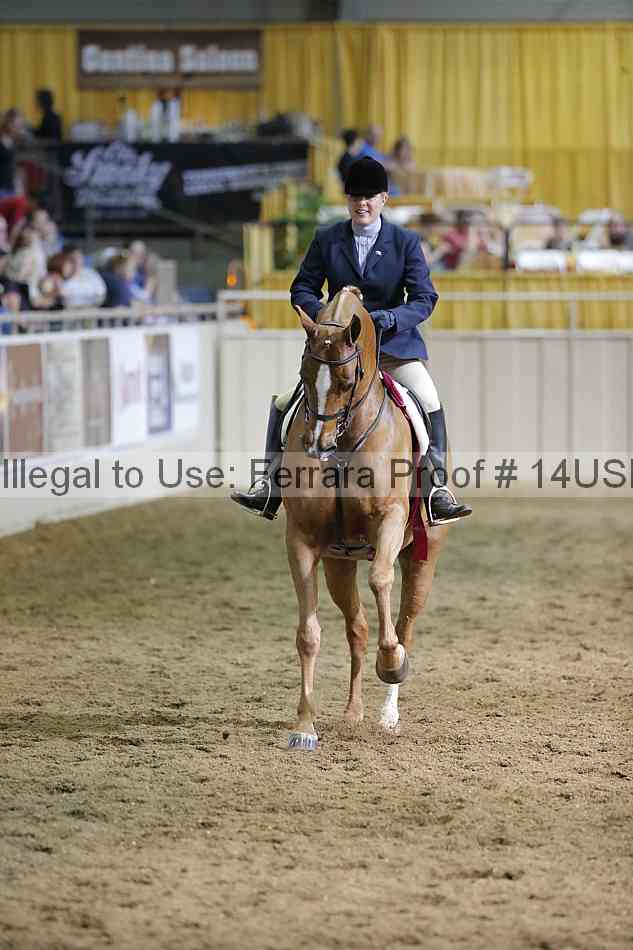 Proof 14usn_37674