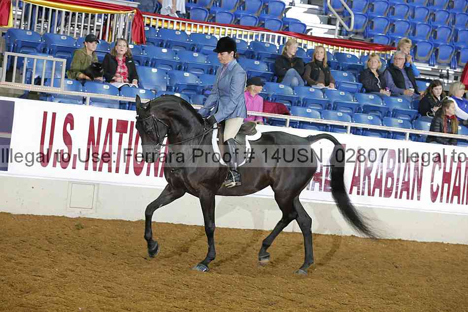 Proof 14usn_02807