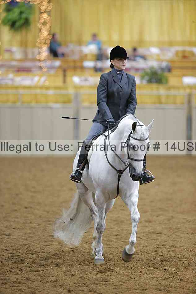 Proof 14usn_02812
