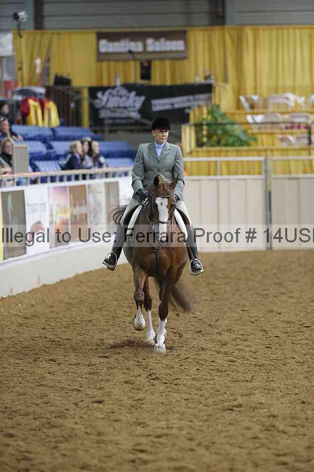 Proof 14usn_02818
