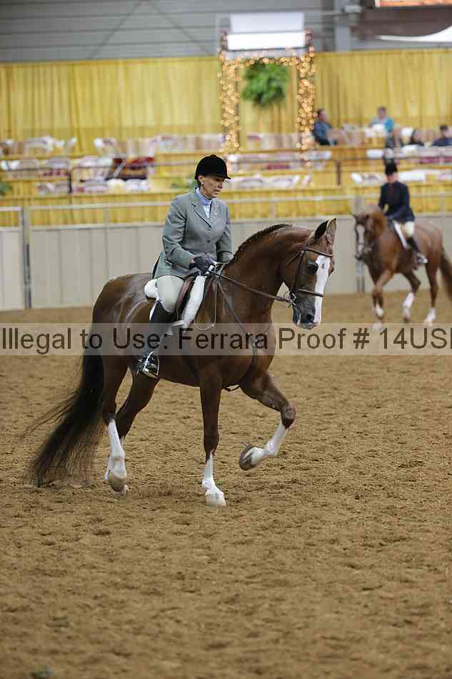 Proof 14usn_02819