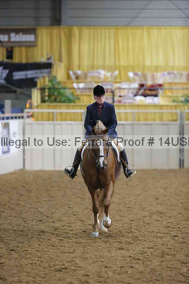 Proof 14usn_02821