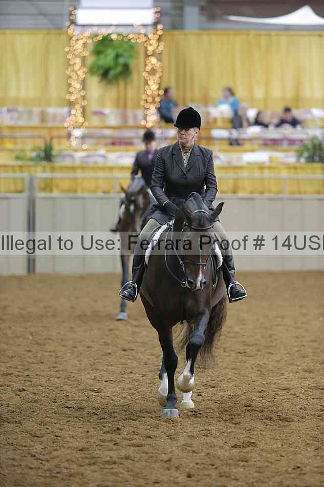 Proof 14usn_02824