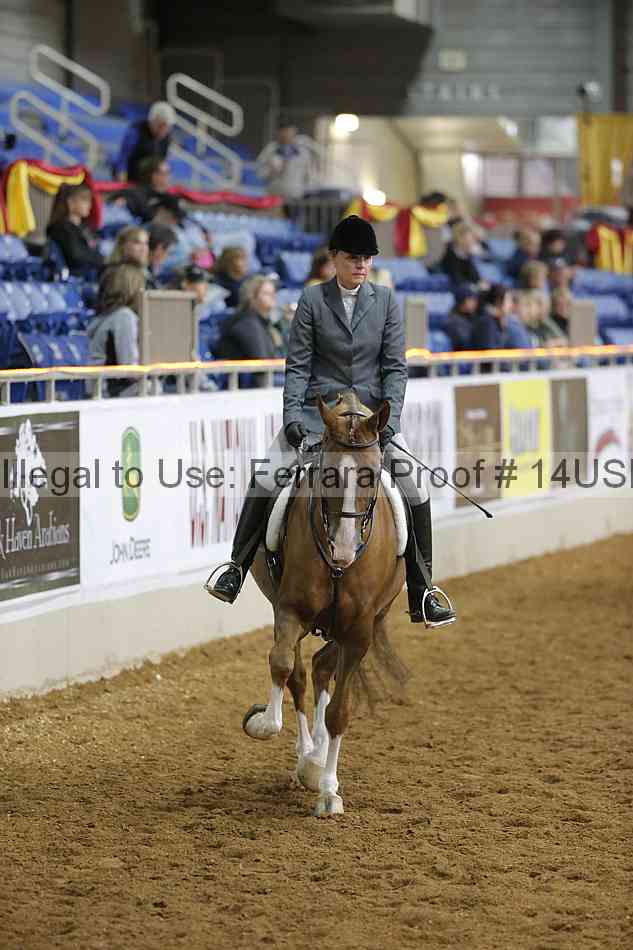 Proof 14usn_02832