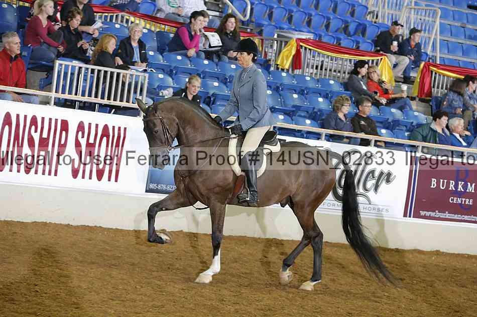 Proof 14usn_02833