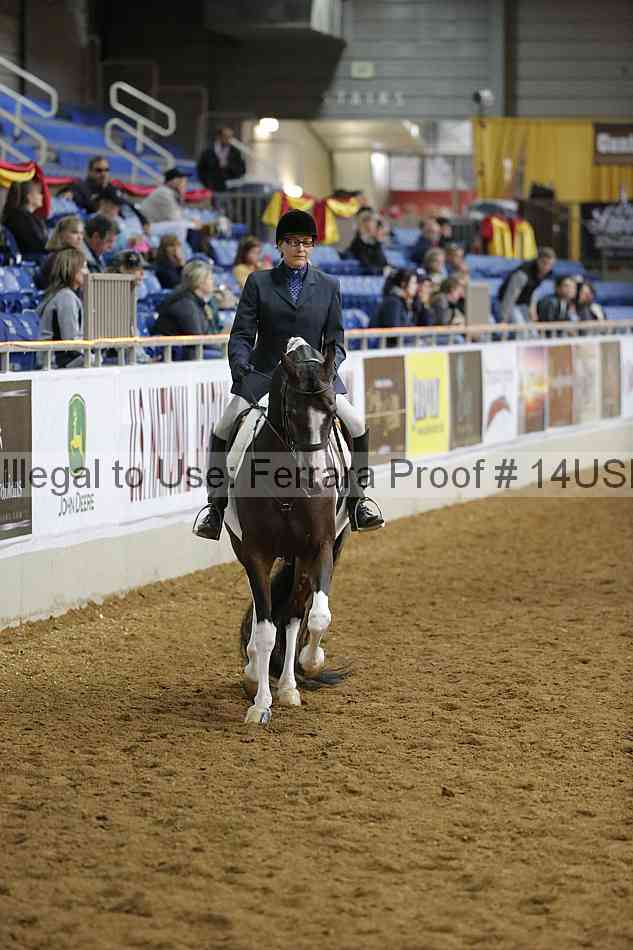 Proof 14usn_02850