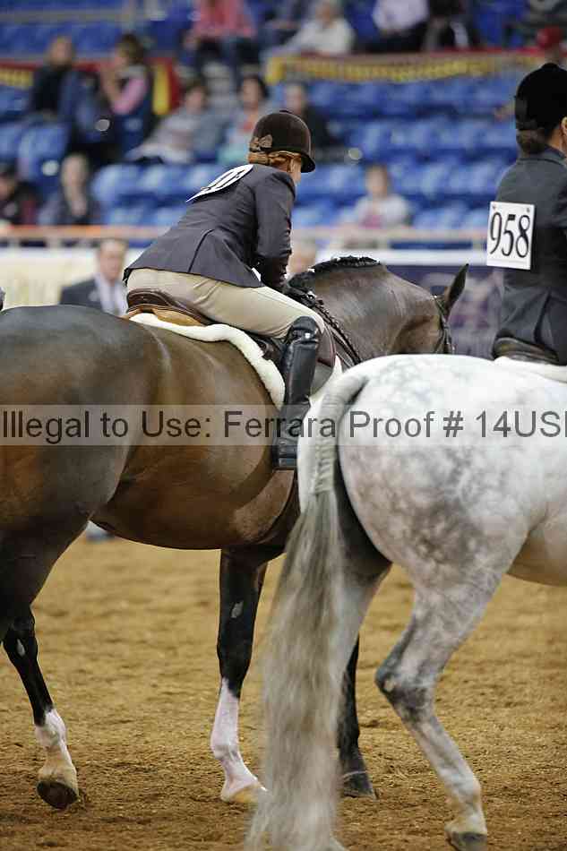 Proof 14usn_02851