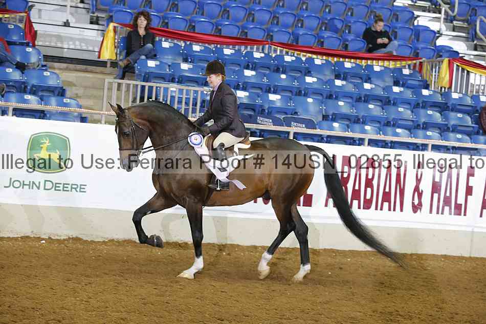 Proof 14usn_02855